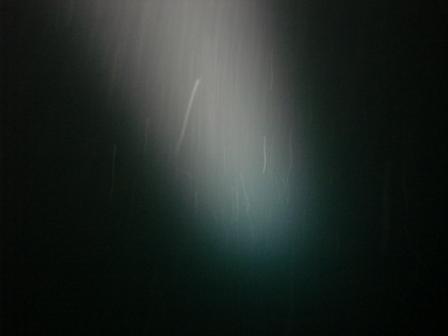 Plankton in the light